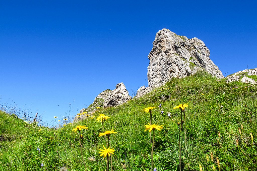 65 links der Gipfel.jpg